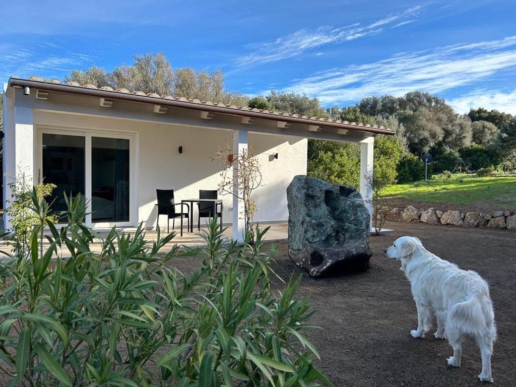 La Piana Holiday House Bassacutena Luaran gambar