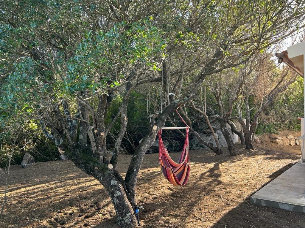 La Piana Holiday House Bassacutena Luaran gambar