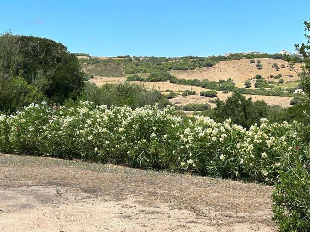 La Piana Holiday House Bassacutena Luaran gambar