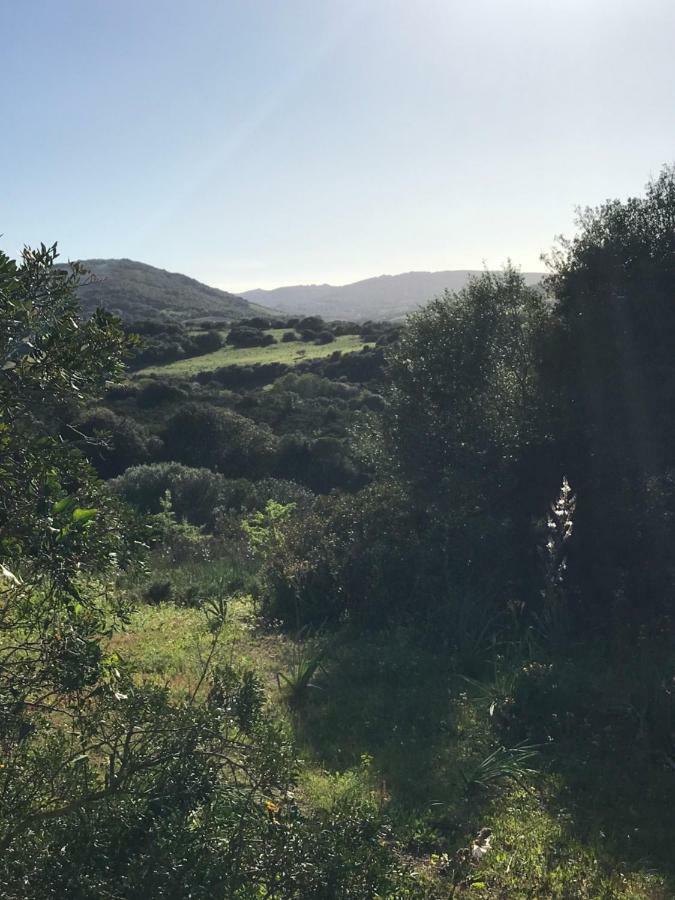 La Piana Holiday House Bassacutena Luaran gambar
