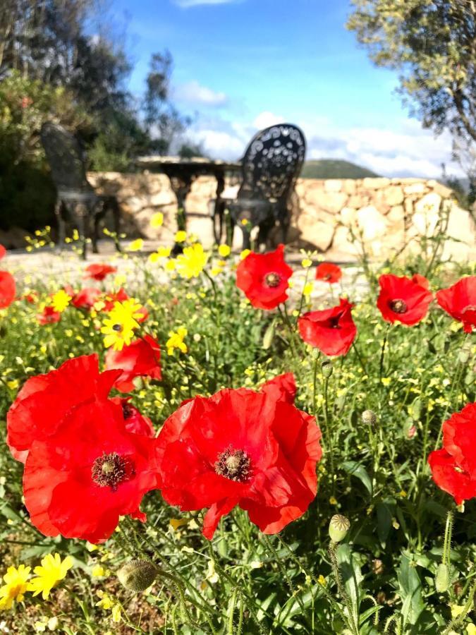 La Piana Holiday House Bassacutena Luaran gambar